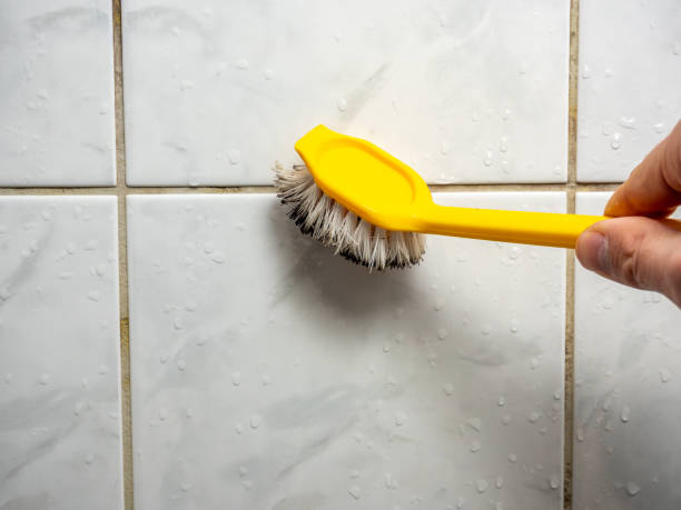 Best Black Mold Removal  in Cleveland Heights, OH