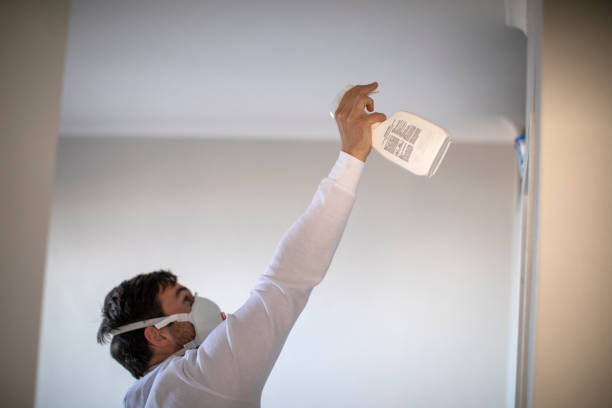 Best Office Mold Removal Services  in Cleveland Heights, OH