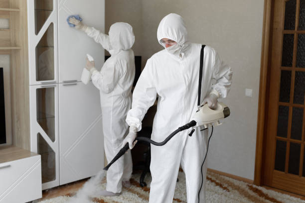 Best Mold Remediation Experts  in Cleveland Heights, OH