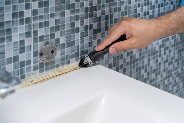Best Local Mold Removal Service  in Cleveland Heights, OH