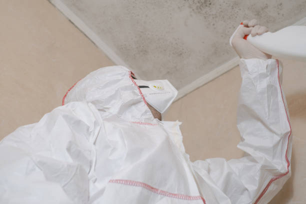Water Damage Restoration in Cleveland Heights, OH